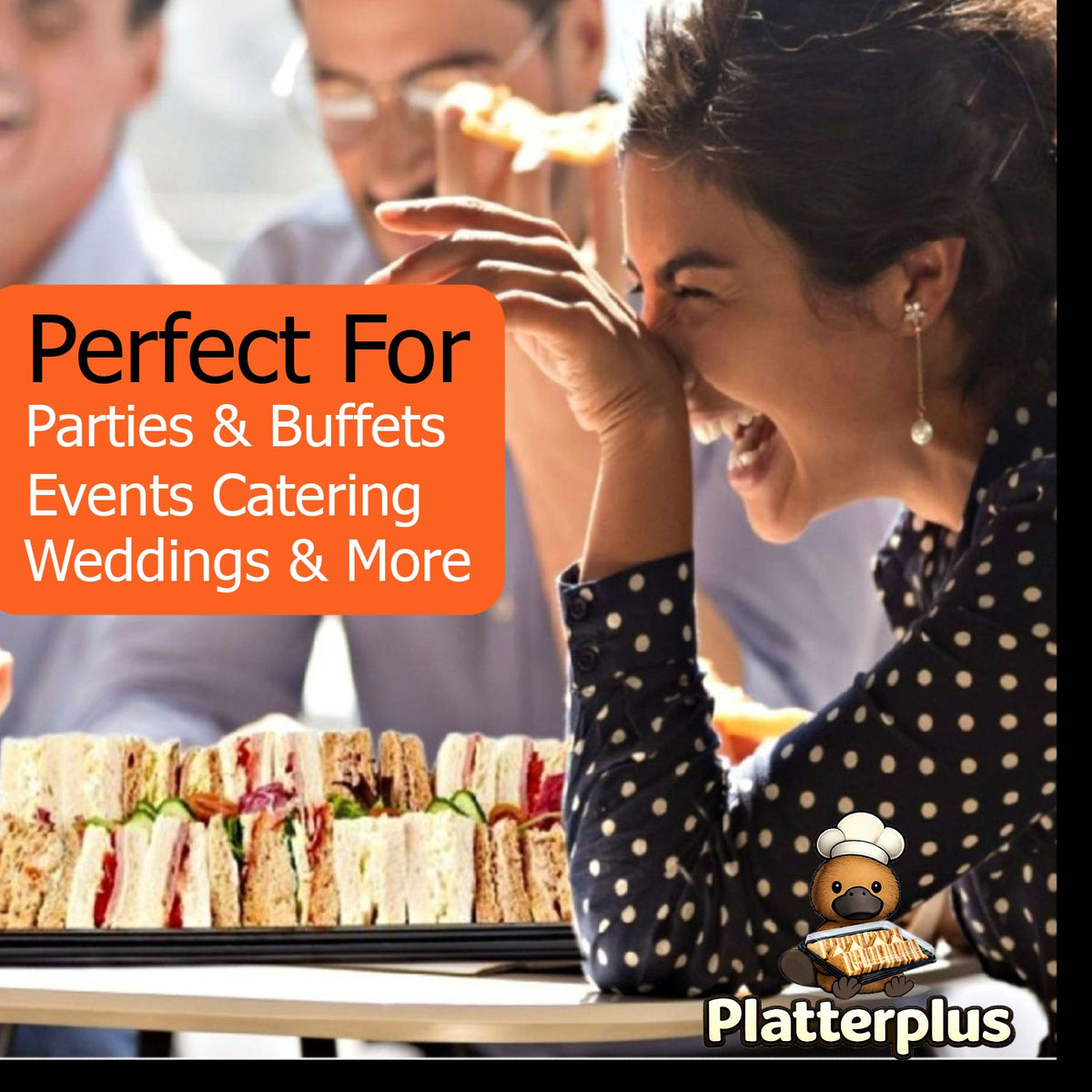 30 Small Black Buffet Platters + 30 Clear Lids Reusable & Recyclable