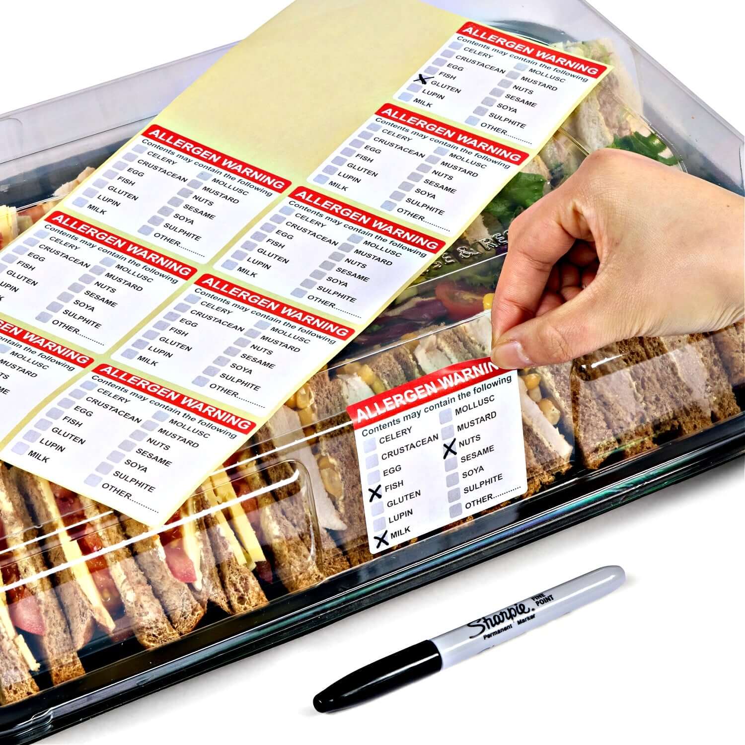 Platterplus 5 Large & 5 Medium Reusable Sandwich Platter Trays & Lids